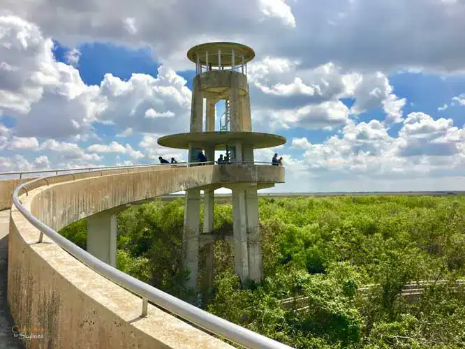 The Shark Valley Observation Tower stands amidst the vast, open landscape of the Everglades, surrounded by lush sawgrass marshes and winding waterways. The tower's circular design provides a unique vantage point, offering sweeping views of the natural expanse. The scene is bathed in warm sunlight under a clear blue sky, highlighting the untouched beauty of the ecosystem.