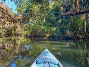 florida coastal marshes
