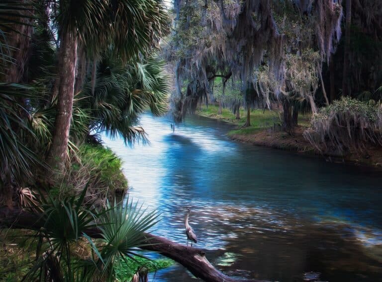 Florida springs