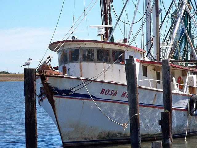 A rusted shrimp boat docked along the Apalachicola River at sunset, with seagulls circling above and oyster cages stacked along the weathered pier.