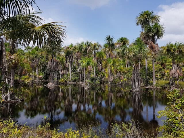 baker county florida guide