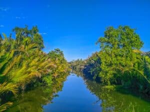 crystal river kayaking