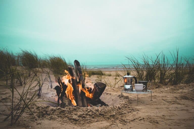 fire, flame, bonfire, campfire, beach, heat, firewood, grass, nature, sand, kitchenware, picnic, sea, ocean, water