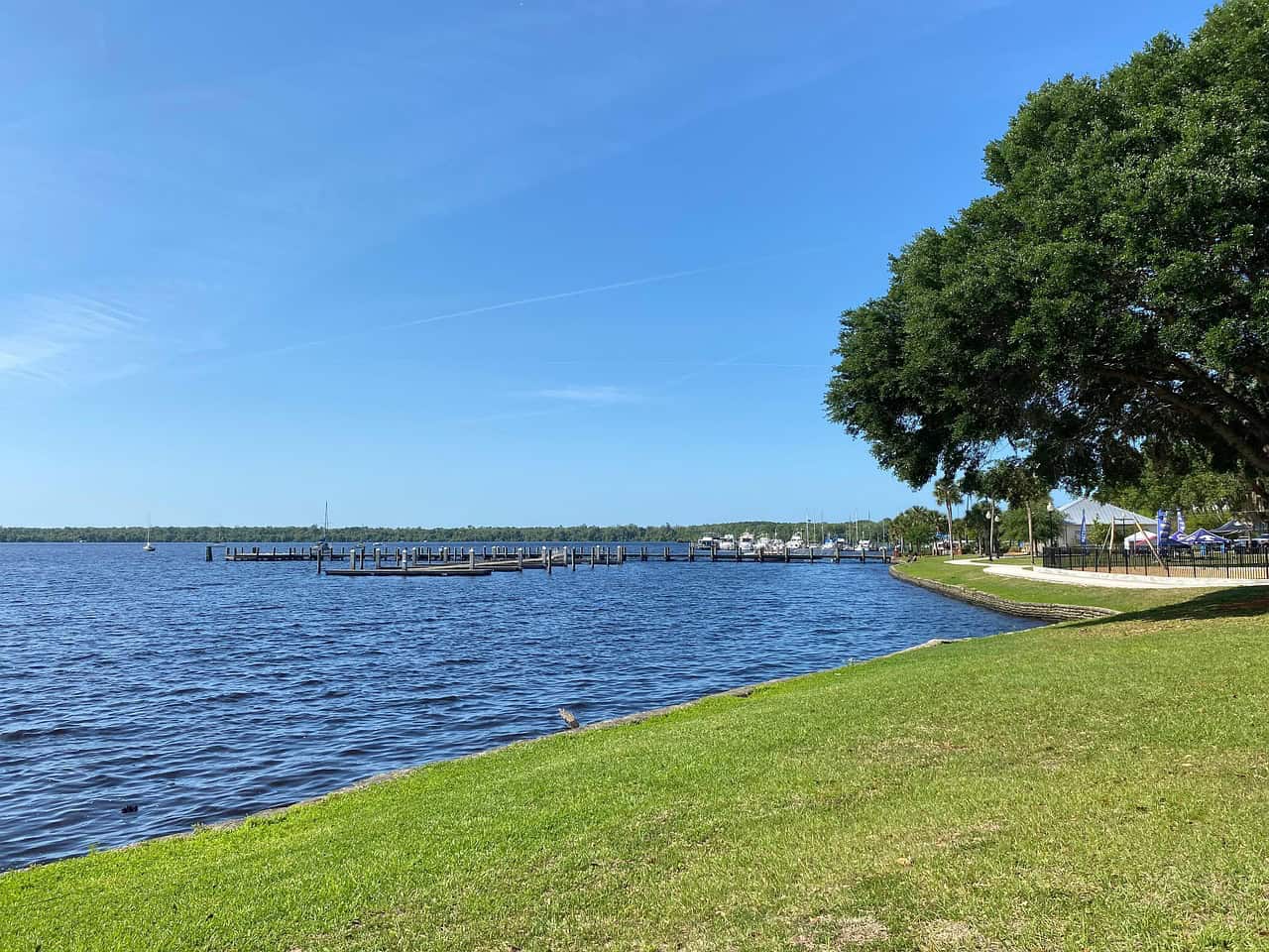 river, park, boat, wildlife, tree, sky, spring, florida, nature