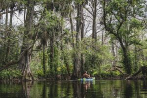 2 person riding on boat on river during daytime