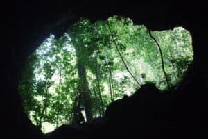 a cave entrance with trees in the background