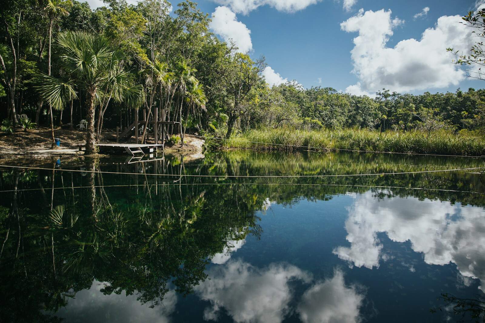 body of water surrounded with trees
