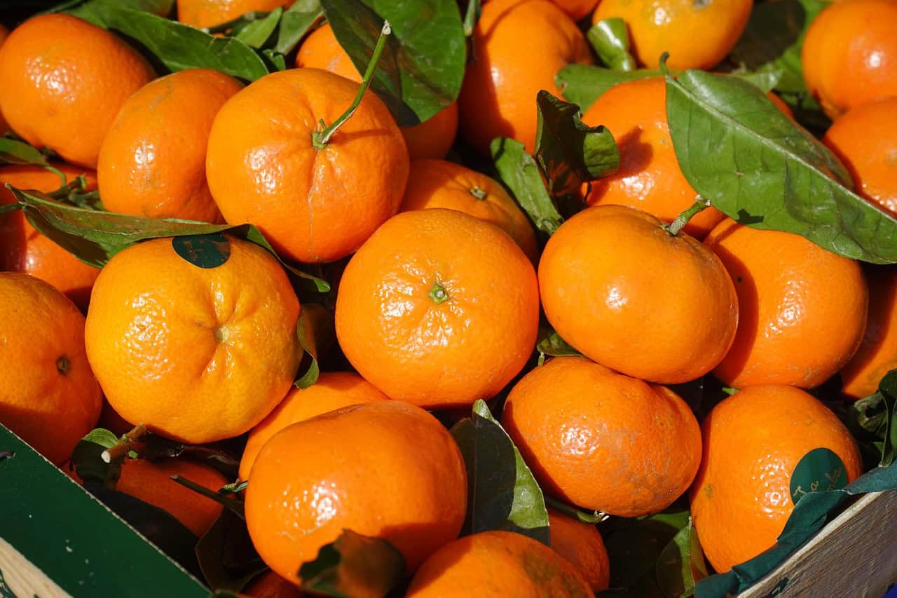 clementines, fruit, vitamins, clementine, citrus × aurantium, hybrid, citrus plant, citrus, citrus fruit, tangerine, citrus reticulata, orange, citrus sinensis, juicy, fruit dough, rise, citrus, tangerine, tangerine, tangerine, tangerine, tangerine