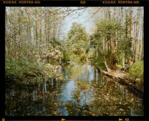 A stream flows through a tranquil autumn forest.