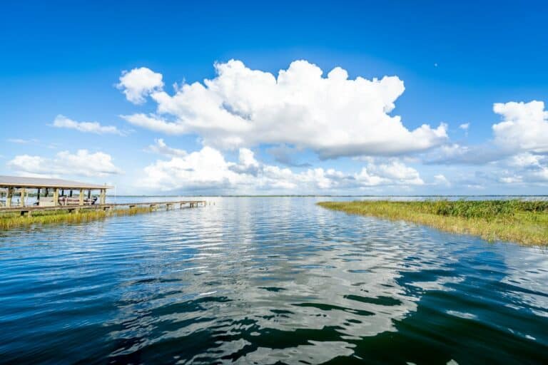 Lake Talquin green grass field beside body of water under blue sky and white clouds during daytime