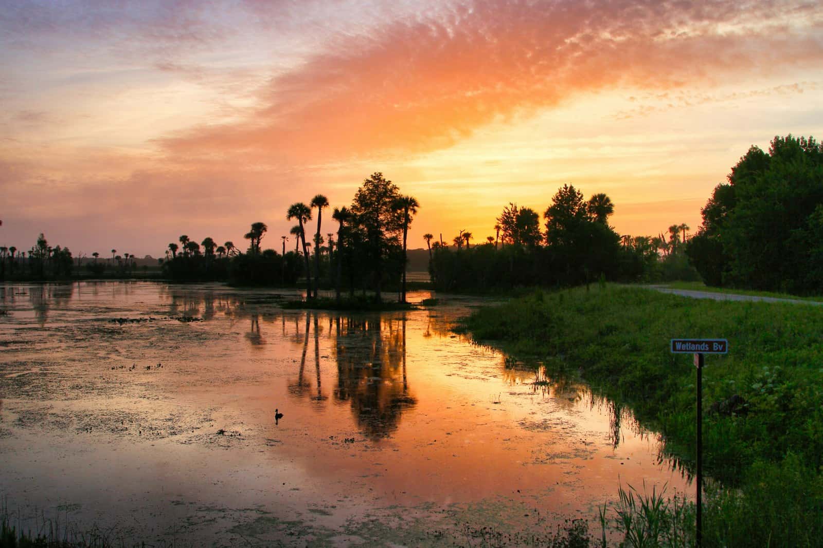 Sunset over a calm lake with trees reflecting