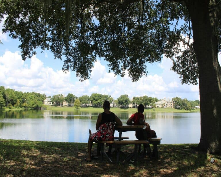 Two people sitting on a bench under a tree
